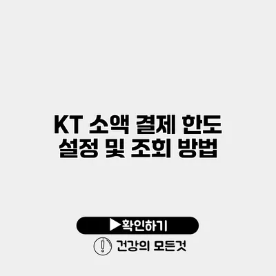 KT 소액 결제 한도 설정 및 조회 방법