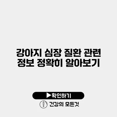 강아지 심장 질환 관련 정보 정확히 알아보기