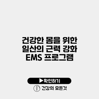 건강한 몸을 위한 일산의 근력 강화 EMS 프로그램