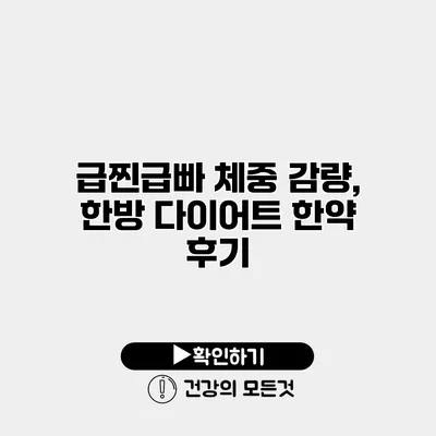 급찐급빠 체중 감량, 한방 다이어트 한약 후기
