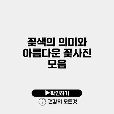 꽃색의 의미와 아름다운 꽃사진 모음
