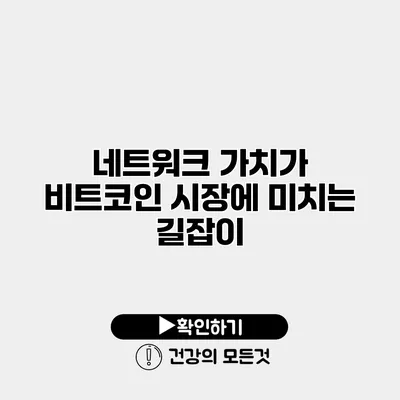네트워크 가치가 비트코인 시장에 미치는 길잡이