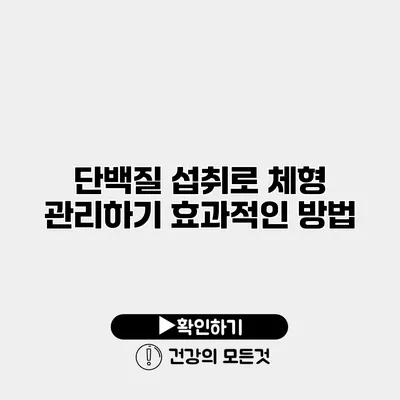 단백질 섭취로 체형 관리하기 효과적인 방법