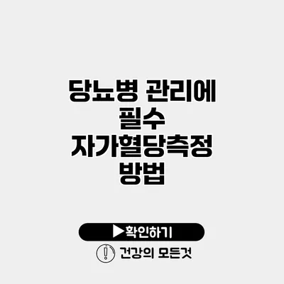 당뇨병 관리에 필수 자가혈당측정 방법
