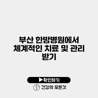 부산 한방병원에서 체계적인 치료 및 관리 받기