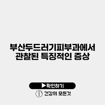 부산두드러기피부과에서 관찰된 특징적인 증상
