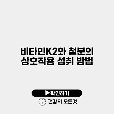 비타민K2와 철분의 상호작용 섭취 방법