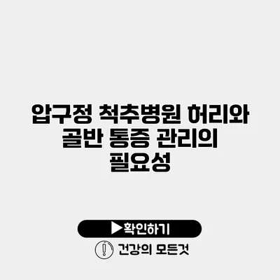 압구정 척추병원 허리와 골반 통증 관리의 필요성