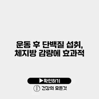 운동 후 단백질 섭취, 체지방 감량에 효과적?