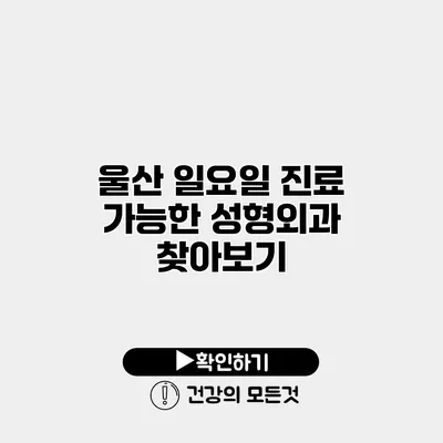 울산 일요일 진료 가능한 성형외과 찾아보기
