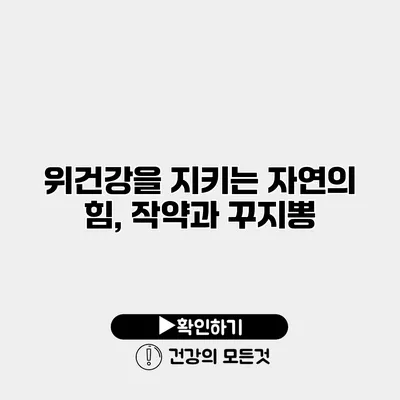 위건강을 지키는 자연의 힘, 작약과 꾸지뽕