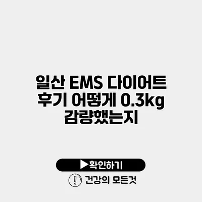 일산 EMS 다이어트 후기 어떻게 0.3kg 감량했는지?