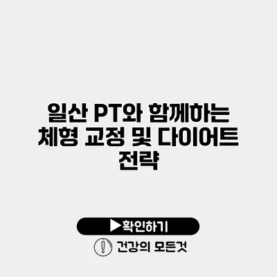 일산 PT와 함께하는 체형 교정 및 다이어트 전략