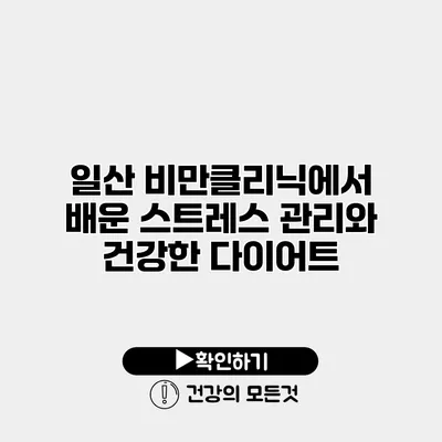 일산 비만클리닉에서 배운 스트레스 관리와 건강한 다이어트