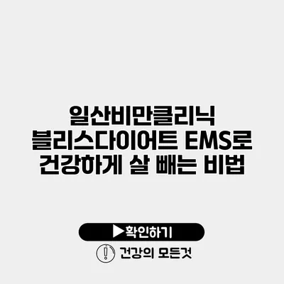 일산비만클리닉 블리스다이어트 EMS로 건강하게 살 빼는 비법