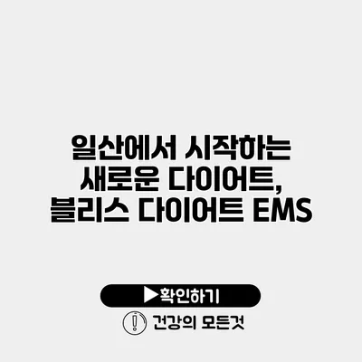 일산에서 시작하는 새로운 다이어트, 블리스 다이어트 EMS