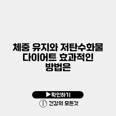 체중 유지와 저탄수화물 다이어트 효과적인 방법은?