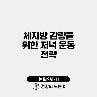 체지방 감량을 위한 저녁 운동 전략