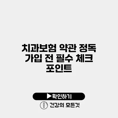 치과보험 약관 정독 가입 전 필수 체크 포인트