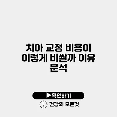 치아 교정 비용이 이렇게 비쌀까? 이유 분석