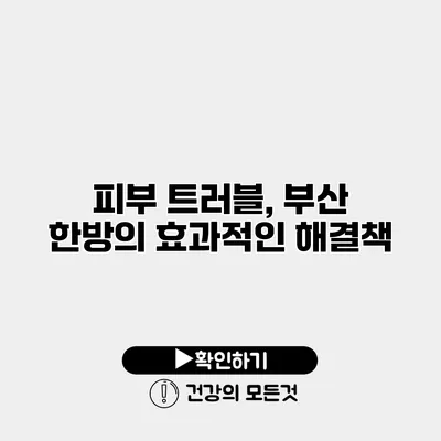 피부 트러블, 부산 한방의 효과적인 해결책