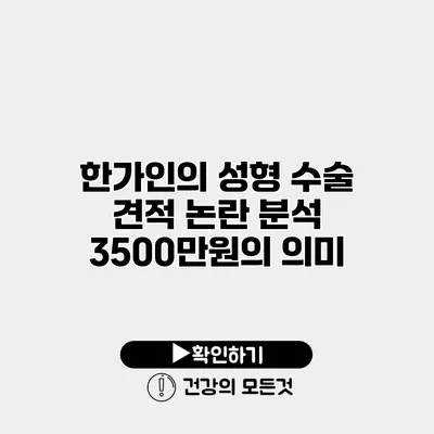 한가인의 성형 수술 견적 논란 분석 3500만원의 의미