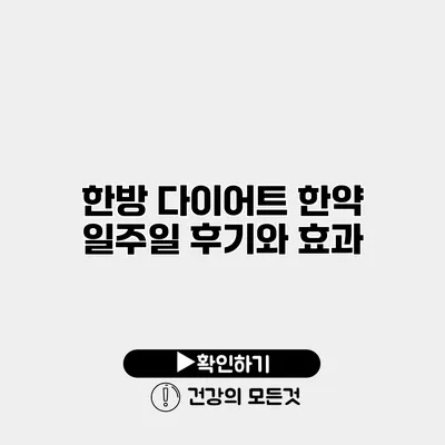 한방 다이어트 한약 일주일 후기와 효과