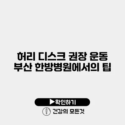 허리 디스크 권장 운동 부산 한방병원에서의 팁