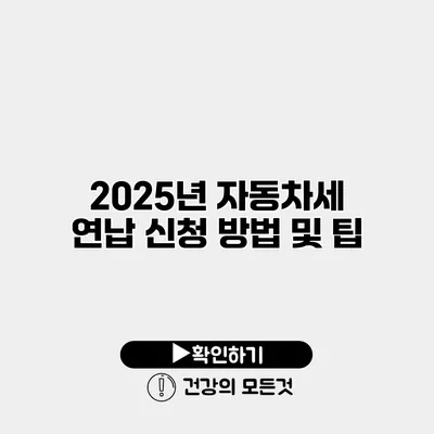 2025년 자동차세 연납 신청 방법 및 팁