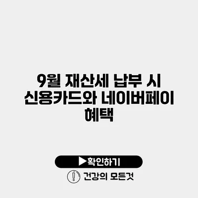 9월 재산세 납부 시 신용카드와 네이버페이 혜택
