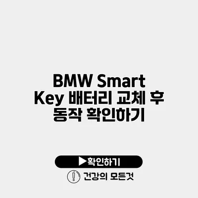 BMW Smart Key 배터리 교체 후 동작 확인하기