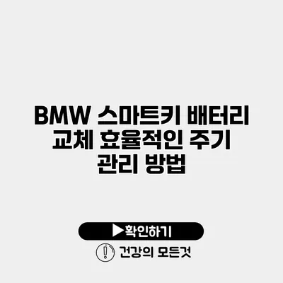 BMW 스마트키 배터리 교체 효율적인 주기 관리 방법