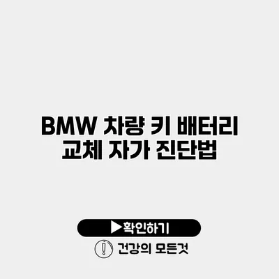 BMW 차량 키 배터리 교체 자가 진단법