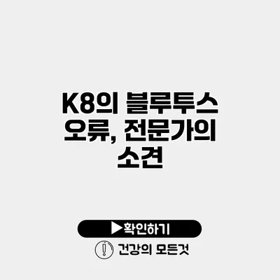 K8의 블루투스 오류, 전문가의 소견