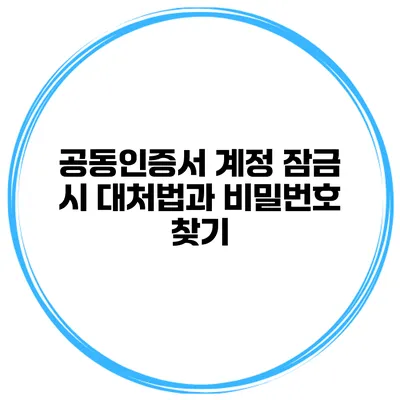 공동인증서 계정 잠금 시 대처법과 비밀번호 찾기