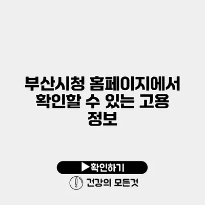 부산시청 홈페이지에서 확인할 수 있는 고용 정보