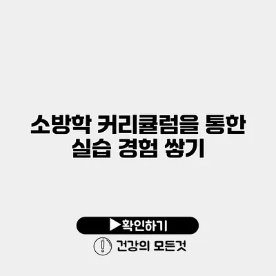 소방학 커리큘럼을 통한 실습 경험 쌓기