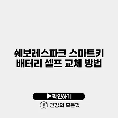 쉐보레스파크 스마트키 배터리 셀프 교체 방법