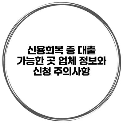 신용회복 중 대출 가능한 곳 업체 정보와 신청 주의사항
