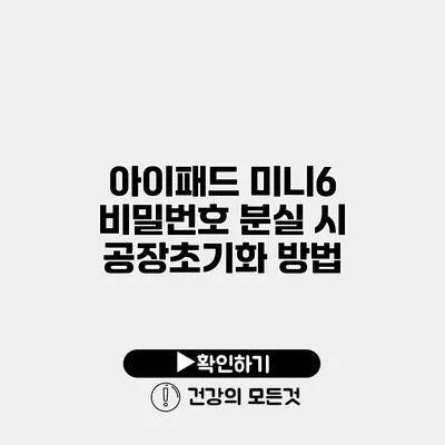 아이패드 미니6 비밀번호 분실 시 공장초기화 방법