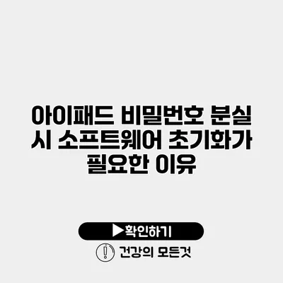 아이패드 비밀번호 분실 시 소프트웨어 초기화가 필요한 이유