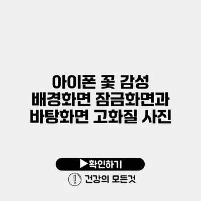 아이폰 꽃 감성 배경화면 잠금화면과 바탕화면 고화질 사진