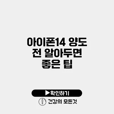 아이폰14 양도 전 알아두면 좋은 팁