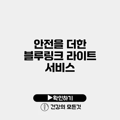 안전을 더한 블루링크 라이트 서비스