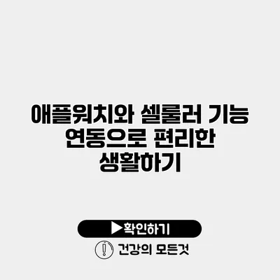 애플워치와 셀룰러 기능 연동으로 편리한 생활하기