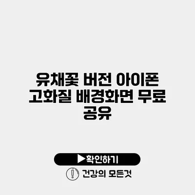 유채꽃 버전 아이폰 고화질 배경화면 무료 공유