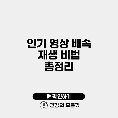 인기 영상 배속 재생 비법 총정리