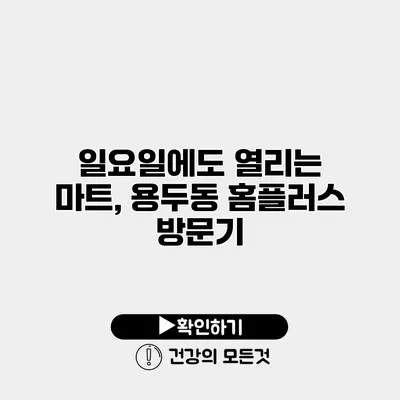 일요일에도 열리는 마트, 용두동 홈플러스 방문기