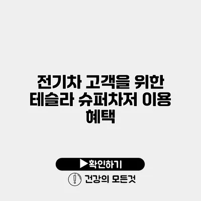 전기차 고객을 위한 테슬라 슈퍼차저 이용 혜택