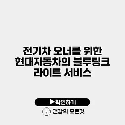 전기차 오너를 위한 현대자동차의 블루링크 라이트 서비스